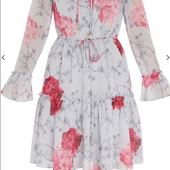 TED BAKER - Eriin Babylon Ruffle Dress - Picture 15 of 15